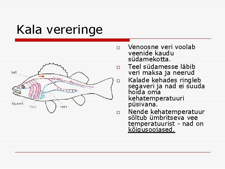 Kala vereringe o o Venoosne veri voolab veenide kaudu südamekotta. Teel südamesse läbib veri