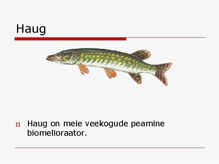 Haug on meie veekogude peamine biomelioraator. 