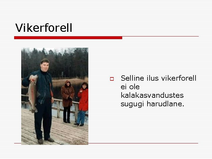 Vikerforell o Selline ilus vikerforell ei ole kalakasvandustes sugugi harudlane. 