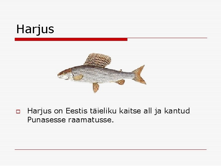 Harjus on Eestis täieliku kaitse all ja kantud Punasesse raamatusse. 