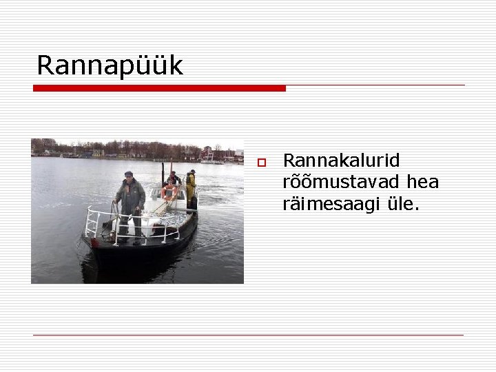 Rannapüük o Rannakalurid rõõmustavad hea räimesaagi üle. 