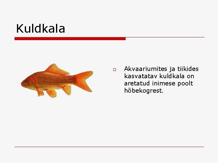 Kuldkala o Akvaariumites ja tiikides kasvatatav kuldkala on aretatud inimese poolt hõbekogrest. 