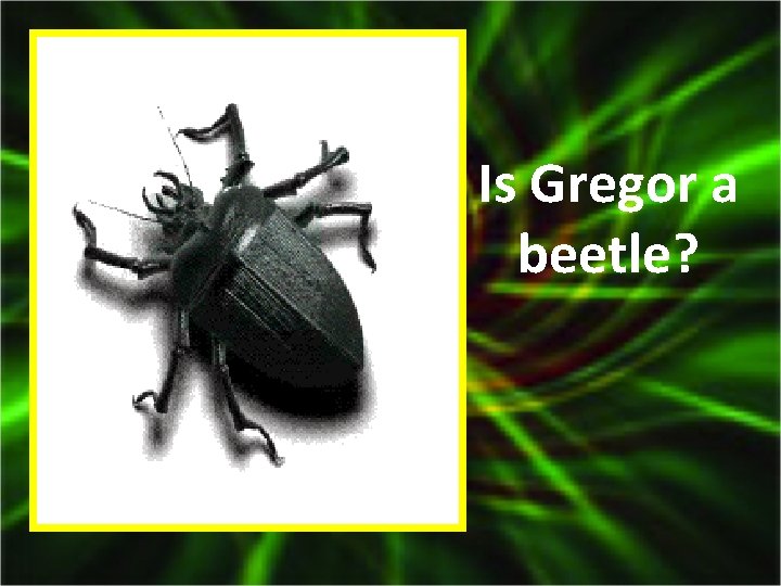 Is Gregor a beetle? 