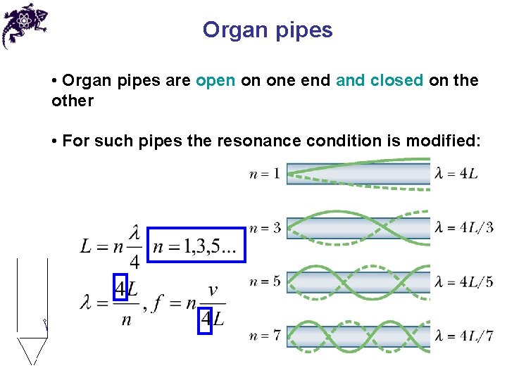 Organ pipes • Organ pipes are open on one end and closed on the