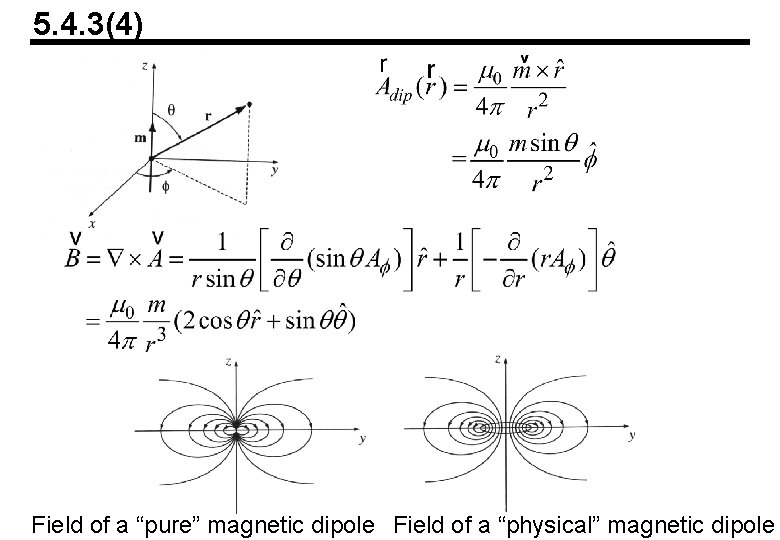 5. 4. 3(4) Field of a “pure” magnetic dipole Field of a “physical” magnetic 5. 4. 3(4) Field of a “pure” magnetic dipole Field of a “physical” magnetic