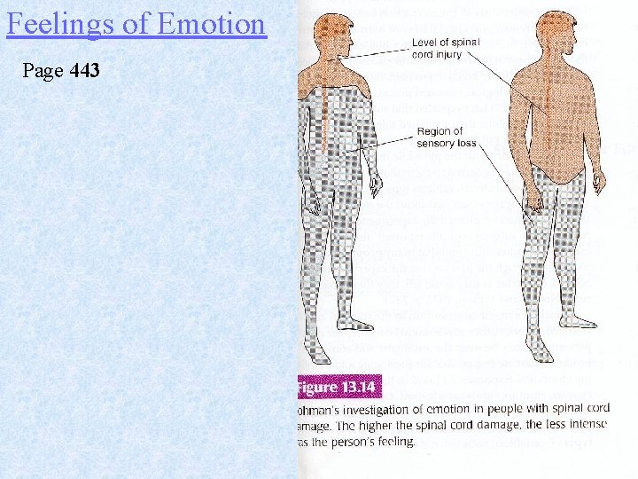 Feelings of Emotion Page 443 