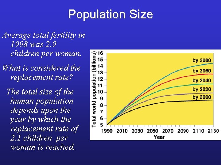 Population Size Average total fertility in 1998 was 2. 9 children per woman. What