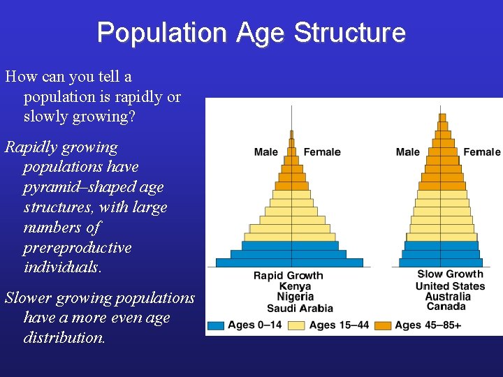 Population Age Structure How can you tell a population is rapidly or slowly growing?