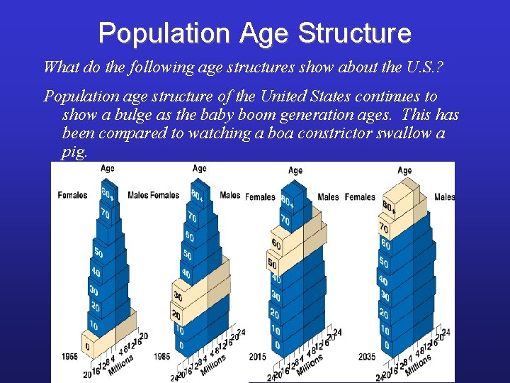 Population Age Structure What do the following age structures show about the U. S.