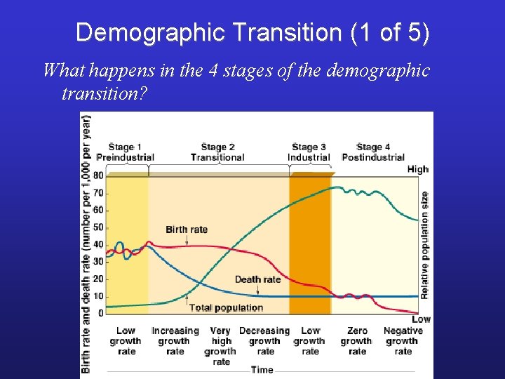 Demographic Transition (1 of 5) What happens in the 4 stages of the demographic