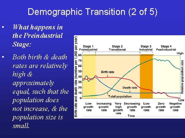 Demographic Transition (2 of 5) • What happens in the Preindustrial Stage: • Both