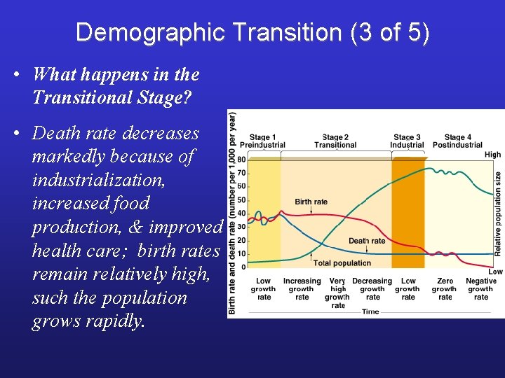 Demographic Transition (3 of 5) • What happens in the Transitional Stage? • Death