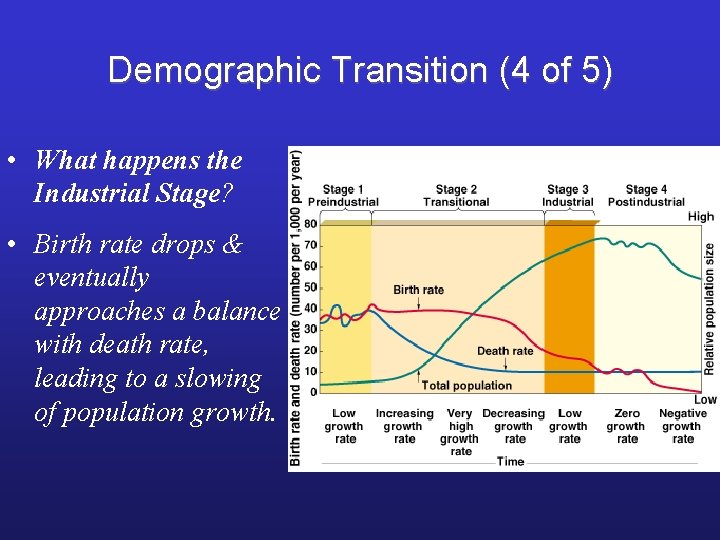 Demographic Transition (4 of 5) • What happens the Industrial Stage? • Birth rate