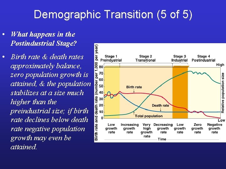 Demographic Transition (5 of 5) • What happens in the Postindustrial Stage? • Birth