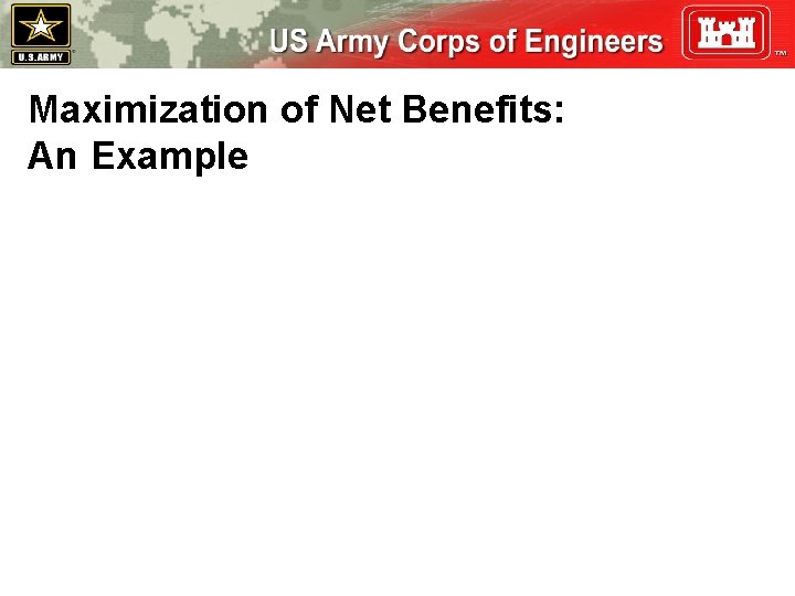 Maximization of Net Benefits: An Example 