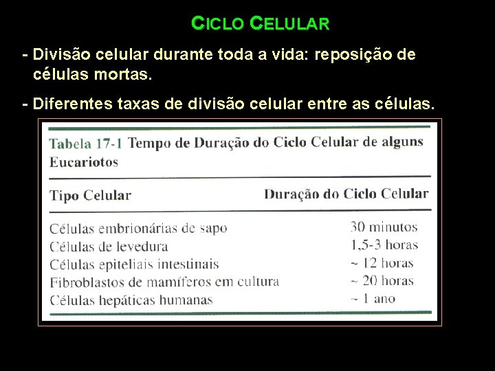 CICLO CELULAR - Divisão celular durante toda a vida: reposição de células mortas. -