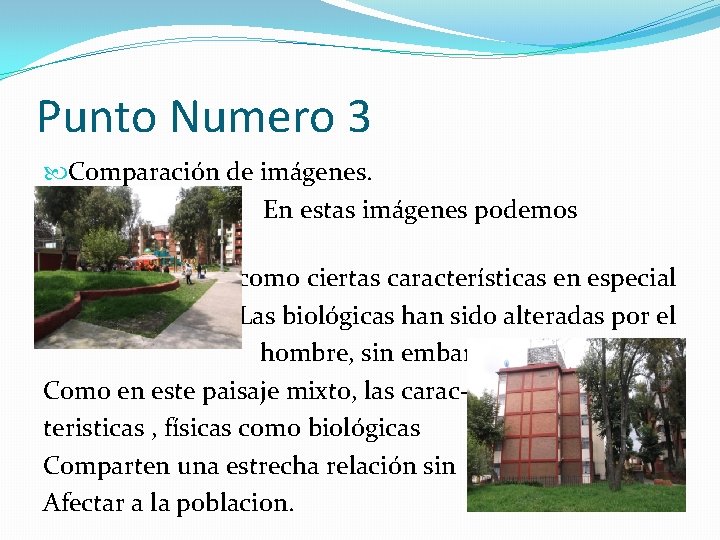 Punto Numero 3 Comparación de imágenes. En estas imágenes podemos observar como ciertas características