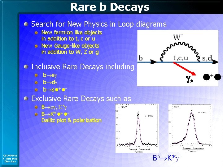 Rare b Decays Search for New Physics in Loop diagrams New fermion like objects