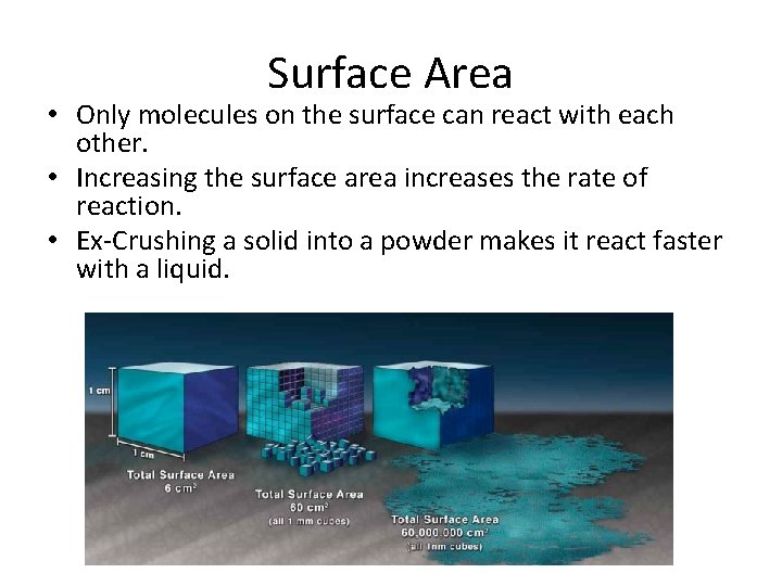 Surface Area • Only molecules on the surface can react with each other. •
