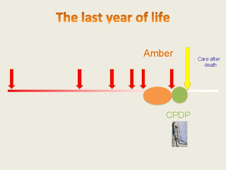 Amber CPDP Care after death 