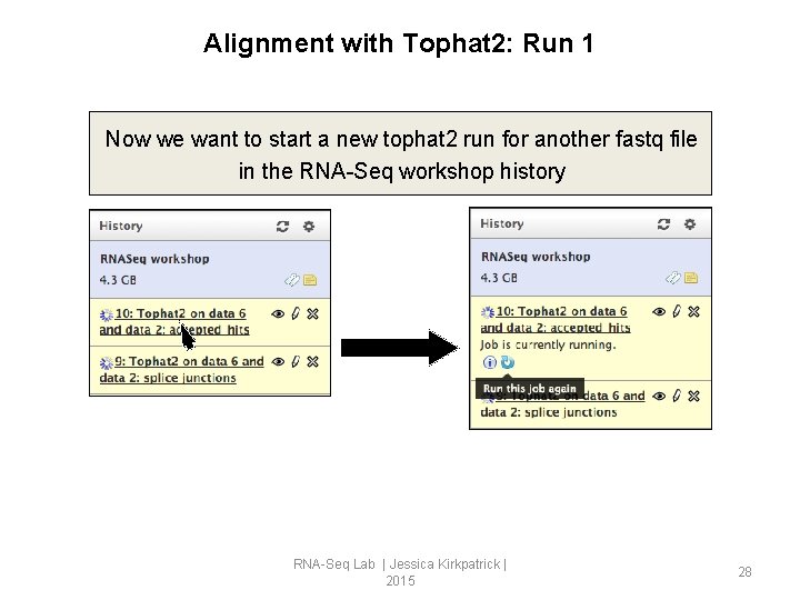 Alignment with Tophat 2: Run 1 Now we want to start a new tophat