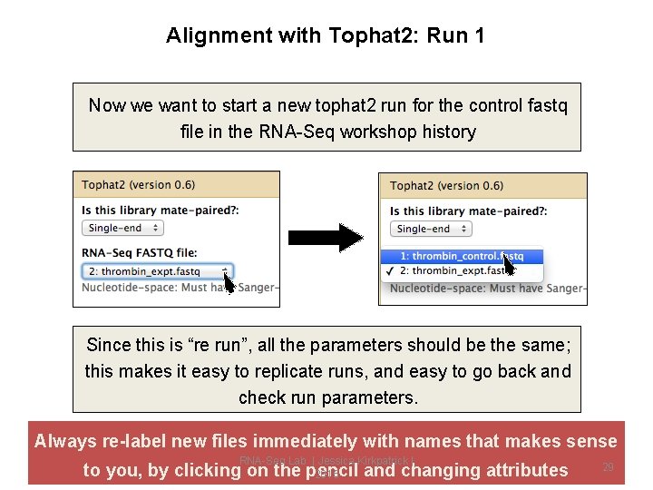 Alignment with Tophat 2: Run 1 Now we want to start a new tophat