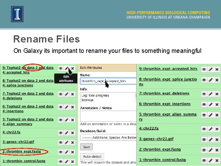 Rename Files On Galaxy its important to rename your files to something meaningful 30