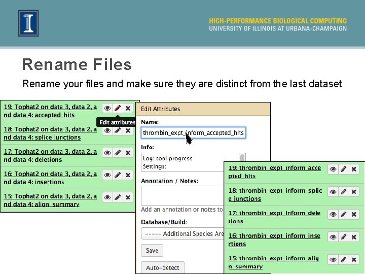 Rename Files Rename your files and make sure they are distinct from the last