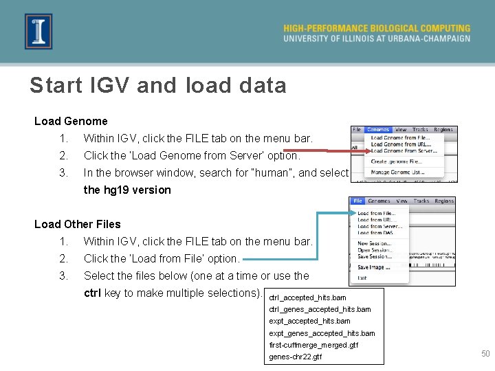 Start IGV and load data Load Genome 1. Within IGV, click the FILE tab