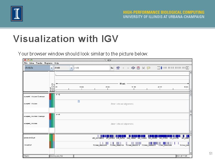 Visualization with IGV Your browser window should look similar to the picture below: 51