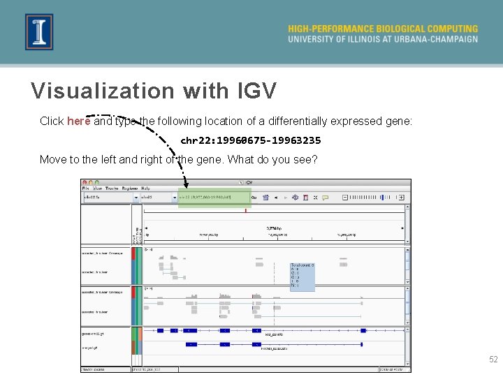 Visualization with IGV Click here and type the following location of a differentially expressed