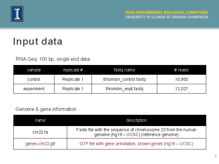 Input data RNA-Seq: 100 bp, single end data sample replicate # fastq name #