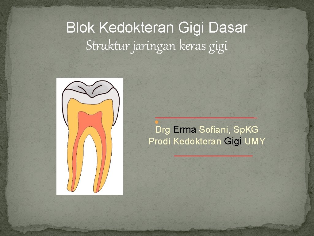 Blok Kedokteran Gigi Dasar Struktur jaringan keras gigi Drg Erma Sofiani, Sp. KG Prodi