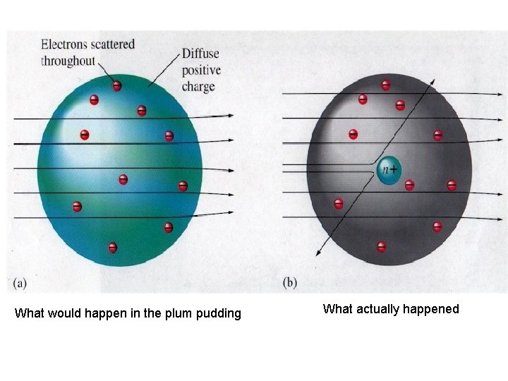  • ! What would happen in the plum pudding What actually happened 
