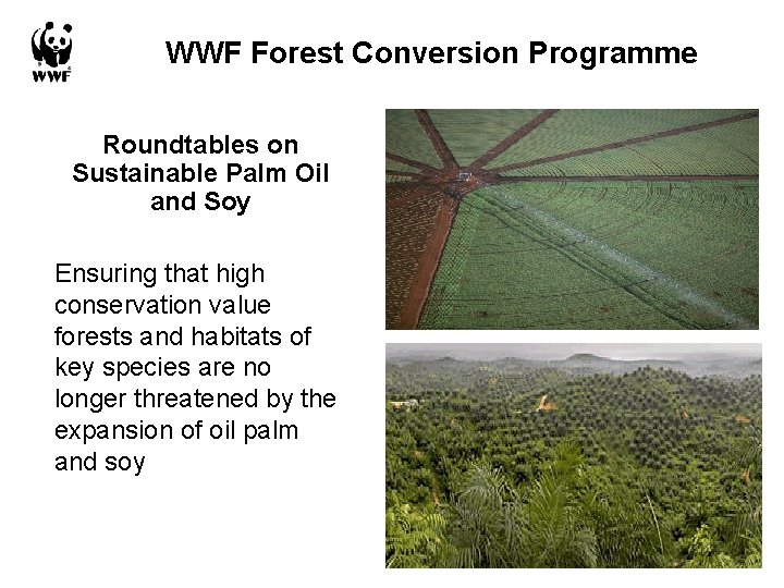 WWF Forest Conversion Programme Roundtables on Sustainable Palm Oil and Soy Ensuring that high