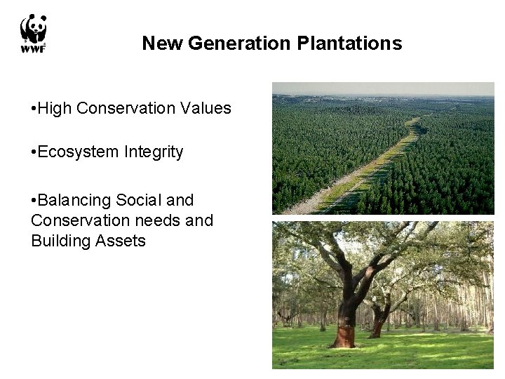 New Generation Plantations • High Conservation Values • Ecosystem Integrity • Balancing Social and