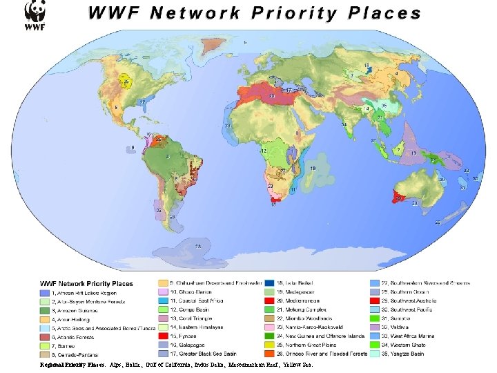 Regional Priority Places: Alps, Baltic, Gulf of California, Indus Delta, Mesoamerican Reef, Yellow Sea.