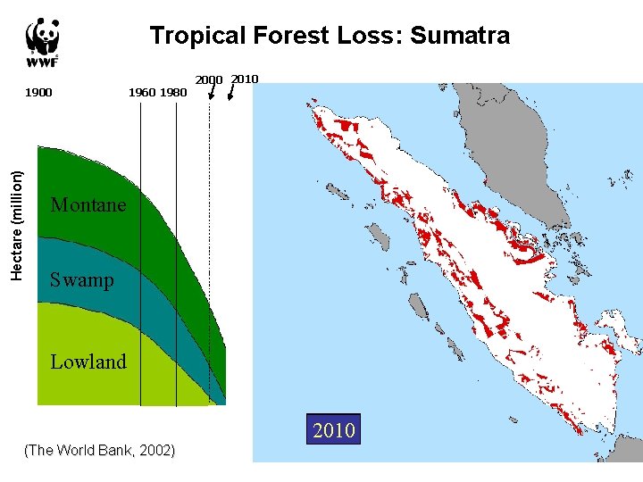 Tropical Forest Loss: Sumatra Hectare (million) 1900 1960 1980 2000 2010 Montane Swamp Lowland