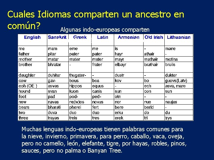 Cuales Idiomas comparten un ancestro en común? Algunas indo-europeas comparten Some Indo-European Shared Words