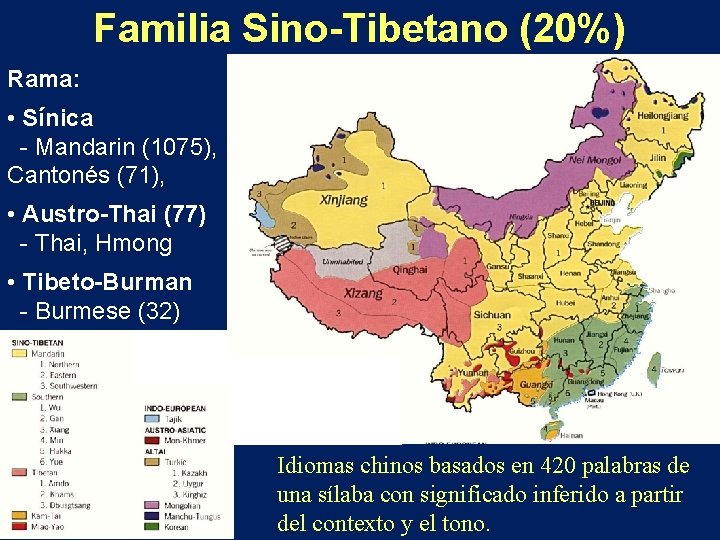 Familia Sino-Tibetano (20%) Rama: • Sínica - Mandarin (1075), Cantonés (71), • Austro-Thai (77)