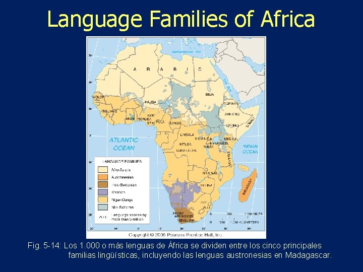 Language Families of Africa Fig. 5 -14: Los 1. 000 o más lenguas de