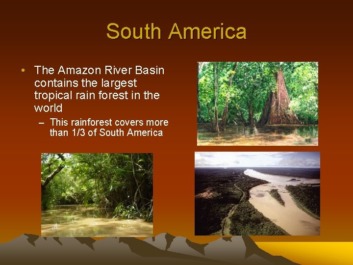 South America • The Amazon River Basin contains the largest tropical rain forest in