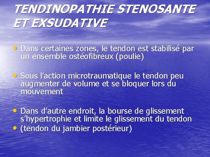 TENDINOPATHIE STENOSANTE ET EXSUDATIVE • Dans certaines zones, le tendon est stabilisé par un TENDINOPATHIE STENOSANTE ET EXSUDATIVE • Dans certaines zones, le tendon est stabilisé par un