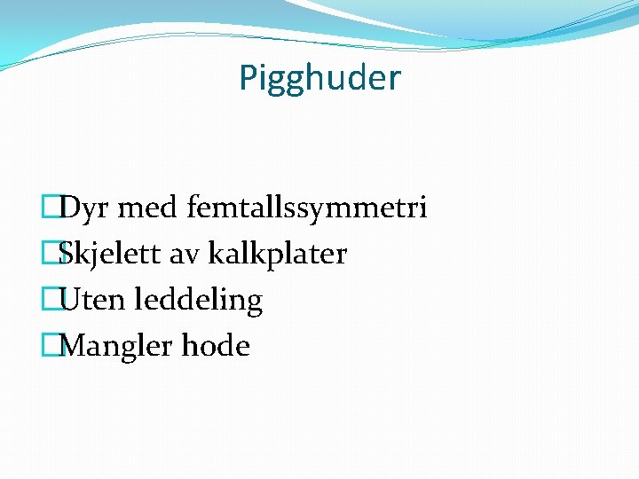 Pigghuder �Dyr med femtallssymmetri �Skjelett av kalkplater �Uten leddeling �Mangler hode 