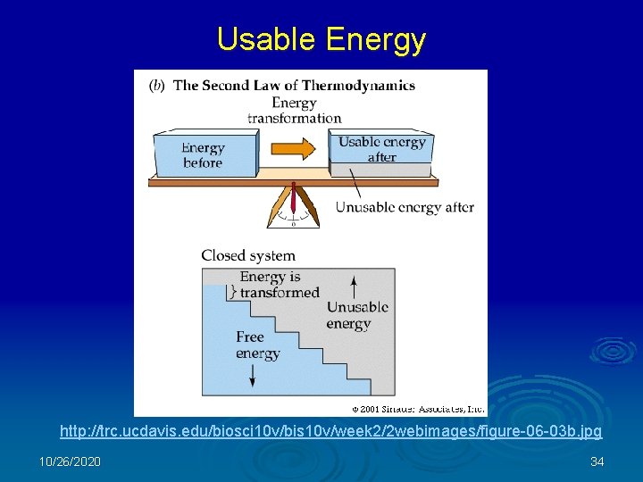 Usable Energy http: //trc. ucdavis. edu/biosci 10 v/bis 10 v/week 2/2 webimages/figure-06 -03 b.