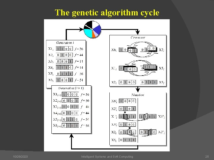 The genetic algorithm cycle 10/26/2020 Intelligent Systems and Soft Computing 25 