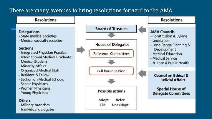 There are many avenues to bring resolutions forward to the AMA There are many avenues to bring resolutions forward to the AMA