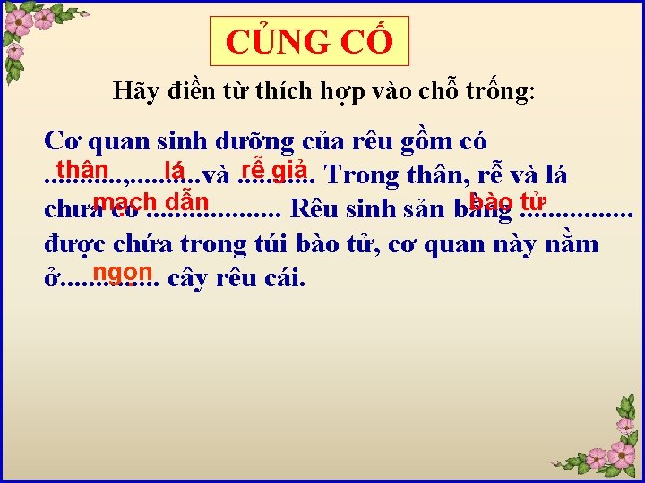 CỦNG CỐ Hãy điền từ thích hợp vào chỗ trống: Cơ quan sinh dưỡng