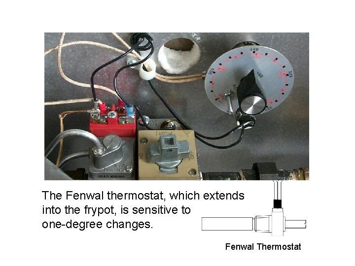 The Fenwal thermostat, which extends into the frypot, is sensitive to one-degree changes. Fenwal