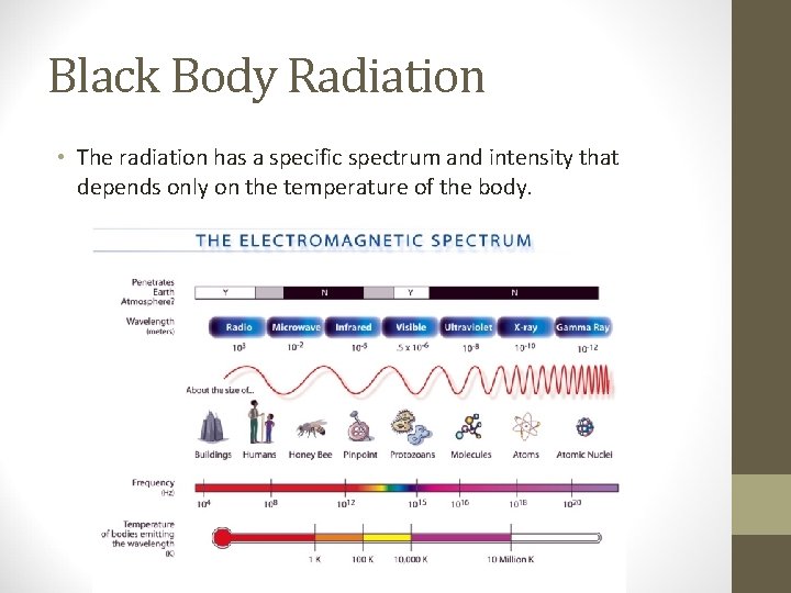 Black Body Radiation • The radiation has a specific spectrum and intensity that depends
